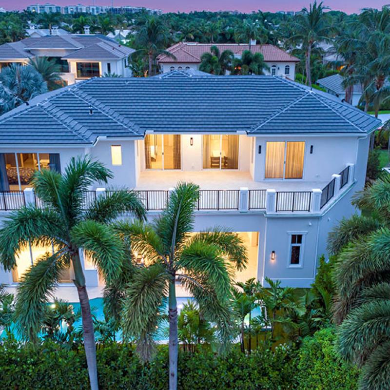 053 Sabal Palm Night View